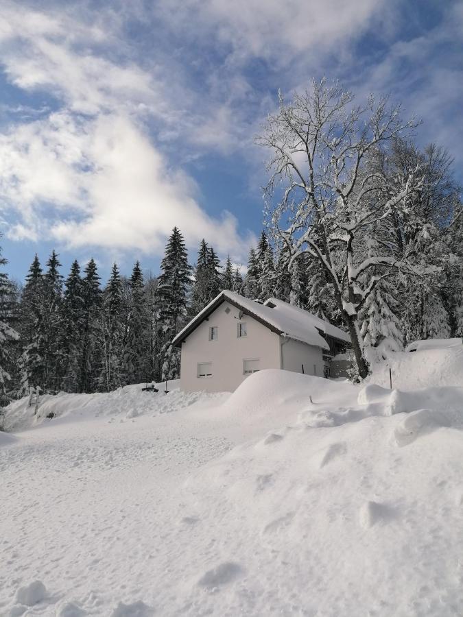 Сasa de vacaciones Ploeckenstein Schwarzenberg am Bohmerwald